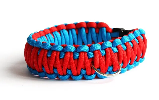 Best Dog Collars: A Comprehensive Buying Guide