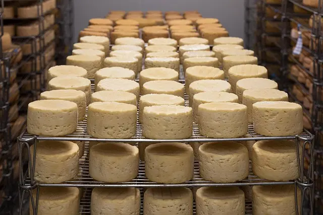 Best Airtight Food Storage Solutions