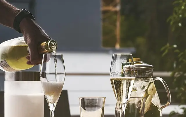 Champagnes Bio : Guide d'Achat Écologique et Comparatif