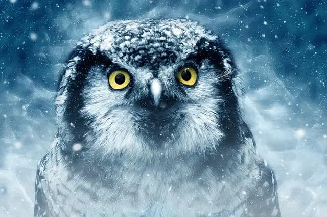Best Luxury Digital Art Investments 2026