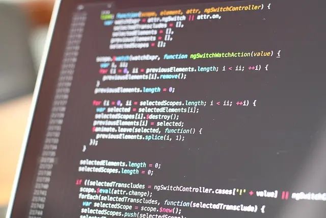 Top Programming Languages for Web Development
