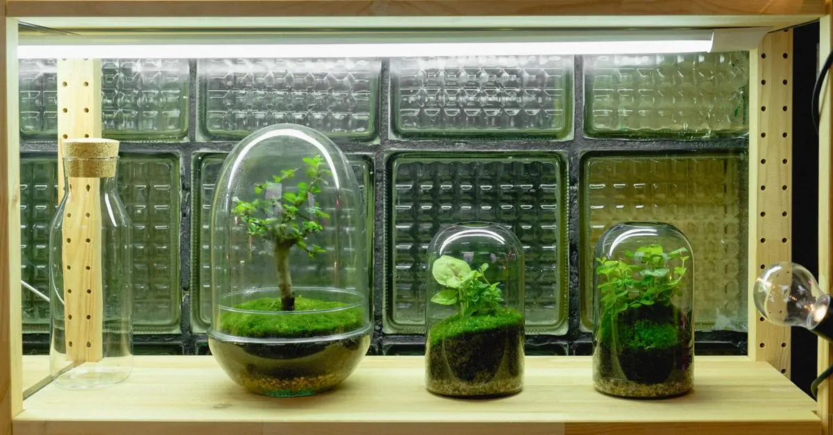 Meilleur éclairage LED pour plantes - Guide d'achat complet