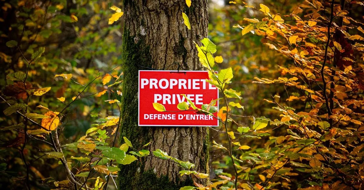 Sécurité Privée : Tout Savoir pour Bien Débuter