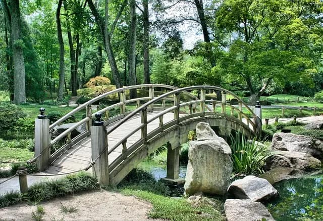 Guide d'Achat des Meilleurs Ensembles de Jardin