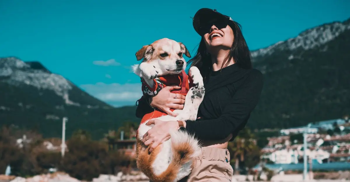 Best Dog Hiking Gear: A Comprehensive Buying Guide