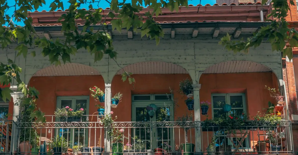 Guide d'achat : Plantations estivales pour votre balcon