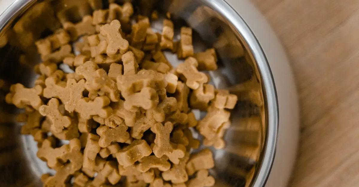 Fantastic Discounts on Pet Supplies