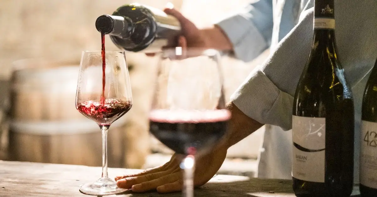 Vinos Buenos y Baratos: Guía de Compra Completa