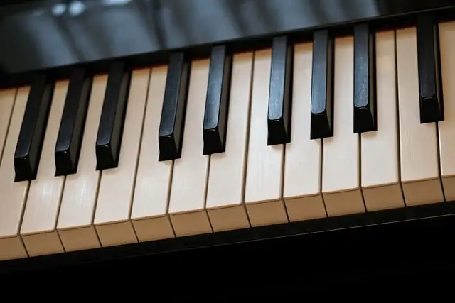 Guide d'achat des meilleurs instruments de musique anciens