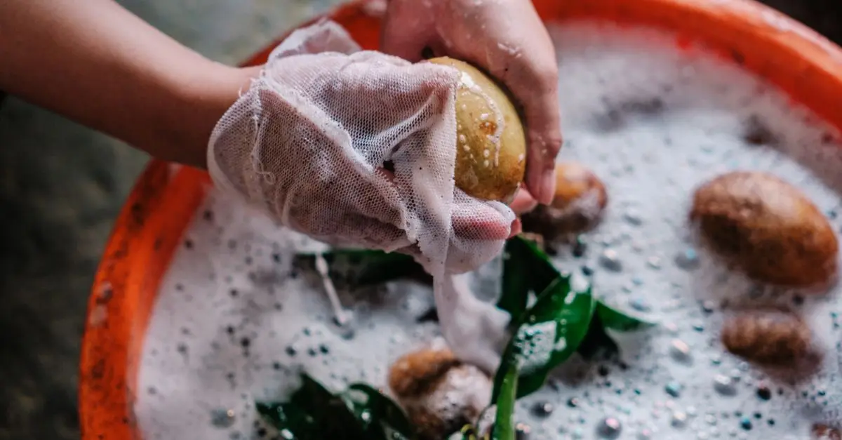 Best Potato Peeler: Top Picks for Every User