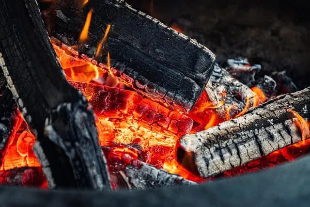 Techniques de Grillades Barbecue : Guide d'Achat Expert