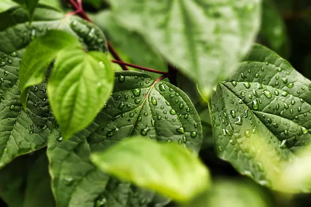 Top Eco-Friendly Home Products for Sustainable Living