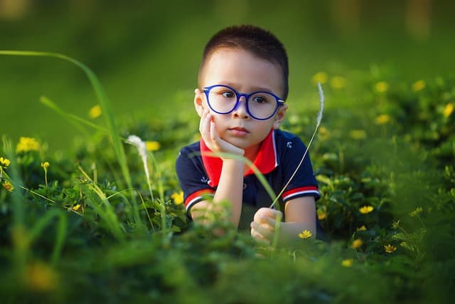Ultimate Guide to Choosing the Best Smart Glasses