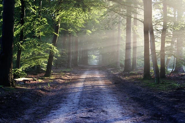 Séjours nature abordables - Profitez de la nature sans vous ruiner