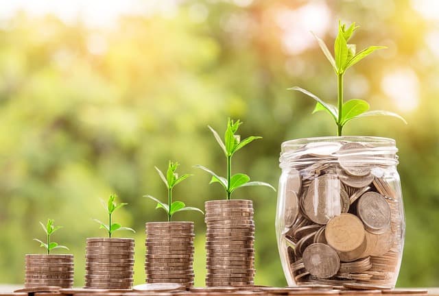 Guía Completa para Invertir en Empresas Sostenibles