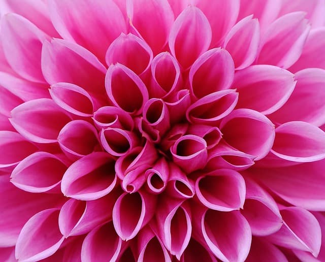 Meilleurs meubles de jardin : Guide complet