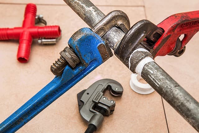 Ultimate Guide to the Best Home DIY Lab Kits
